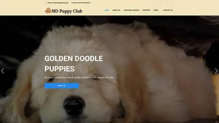 Screenshot of