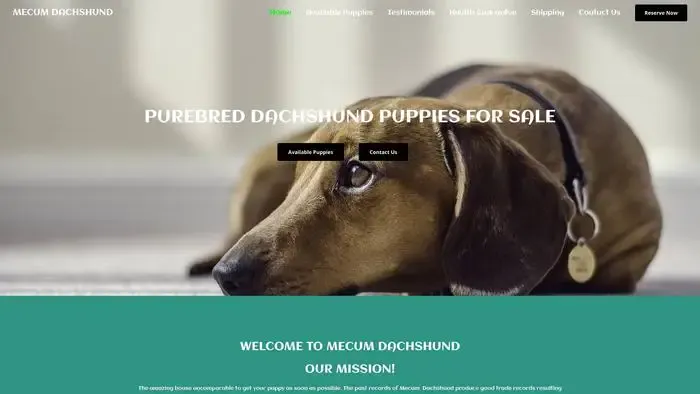 Screenshot of