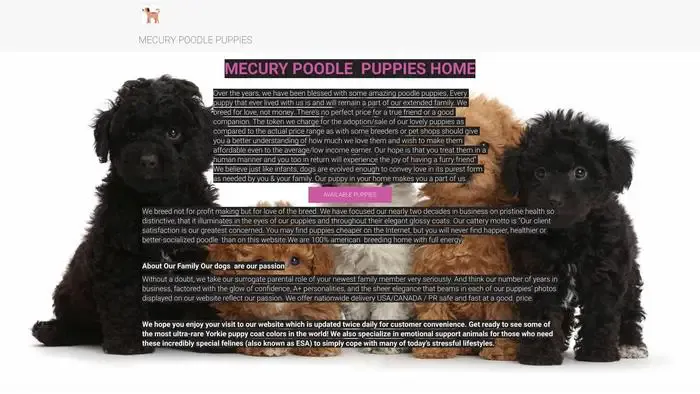 Screenshot of