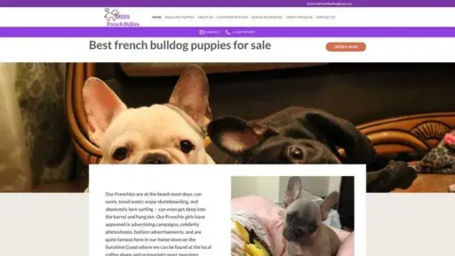 Screenshot of