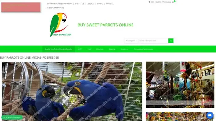 Screenshot of