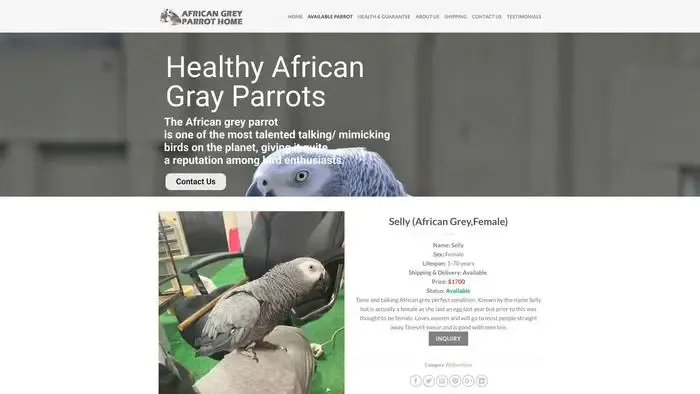 Screenshot of