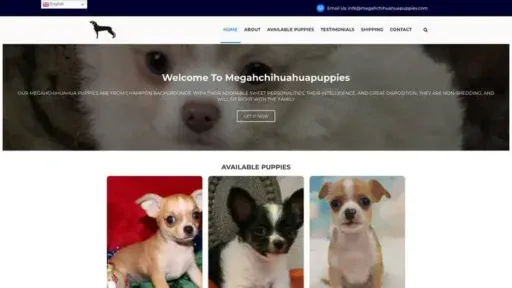 Screenshot of