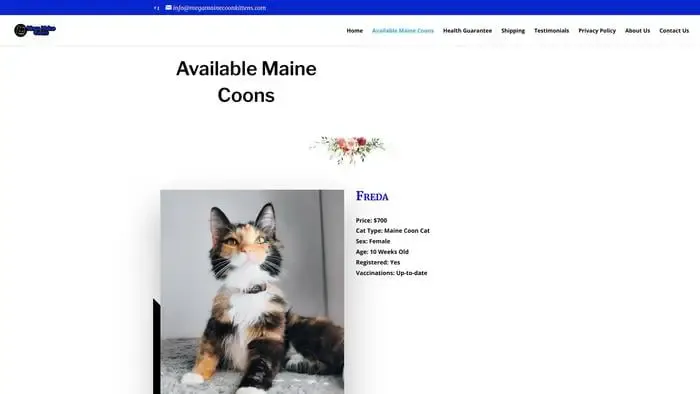 Screenshot of
