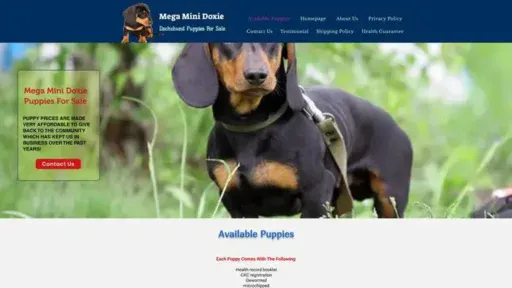 Screenshot of