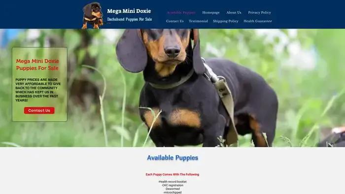 Screenshot of
