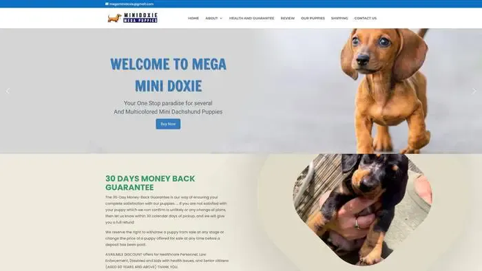 Screenshot of