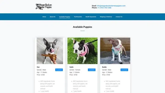 Screenshot of