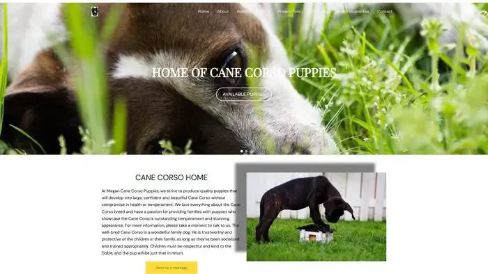 Screenshot of