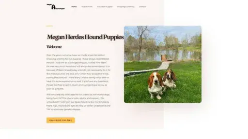 Screenshot of