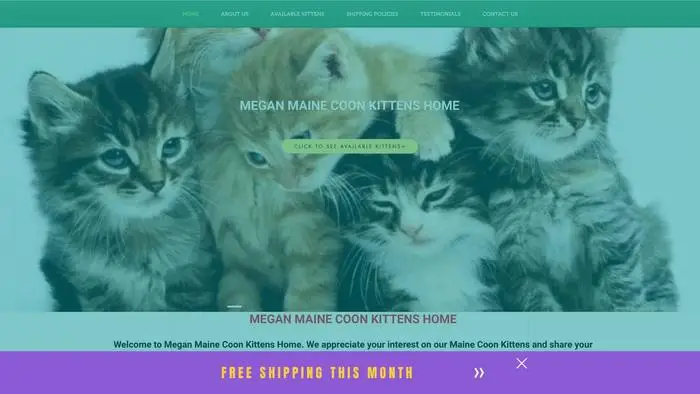 Screenshot of