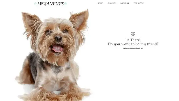 Screenshot of