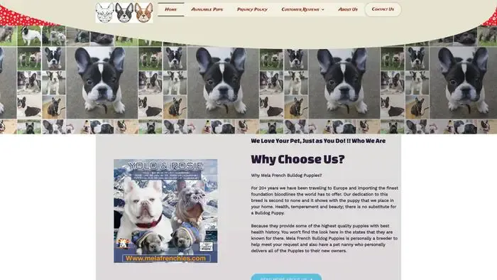 Screenshot of