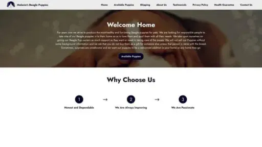 Screenshot of