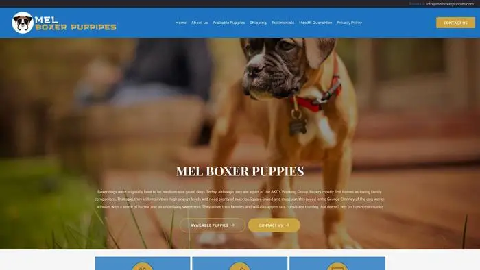 Screenshot of