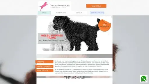 Screenshot of