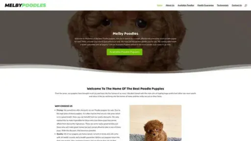 Screenshot of