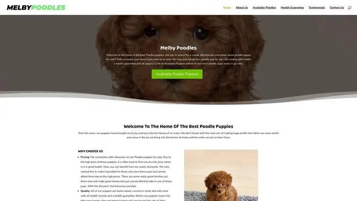 Screenshot of