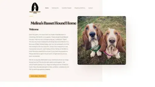 Screenshot of