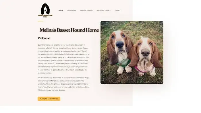 Screenshot of