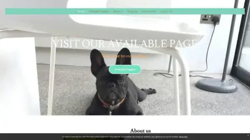 Screenshot of