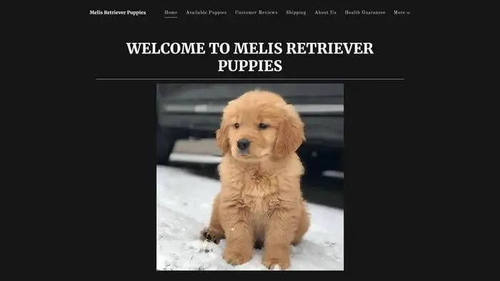 Screenshot of
