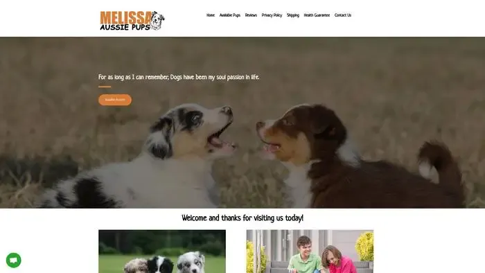 Screenshot of