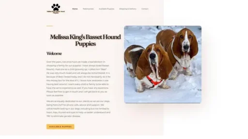 Screenshot of