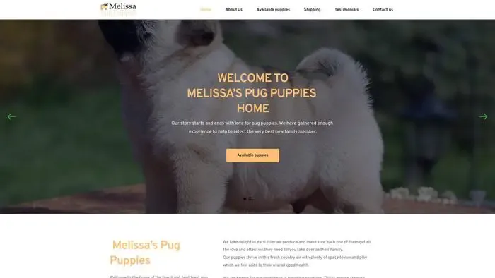 Screenshot of