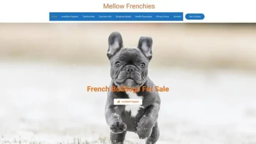 Screenshot of