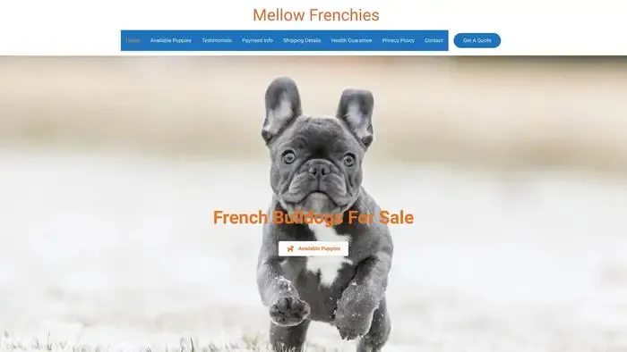 Screenshot of