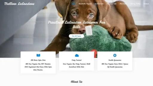 Screenshot of