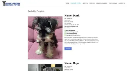 Screenshot of