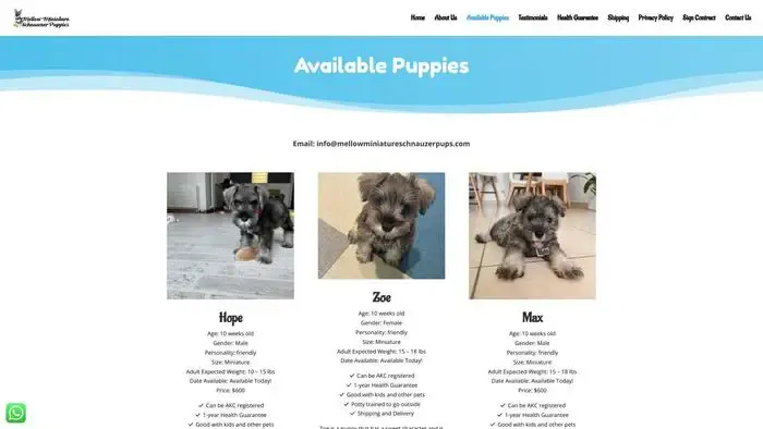Screenshot of