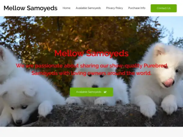 Screenshot of