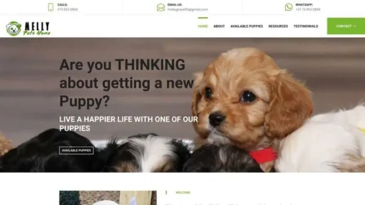 Screenshot of