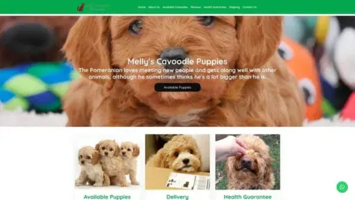 Screenshot of