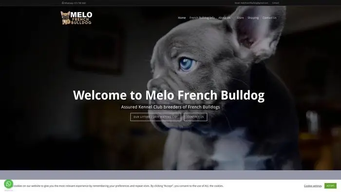 Screenshot of