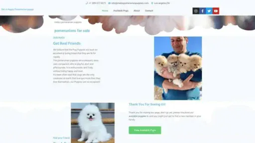 Screenshot of