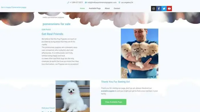 Screenshot of