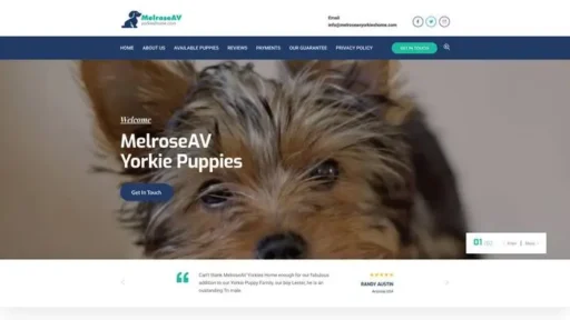 Screenshot of