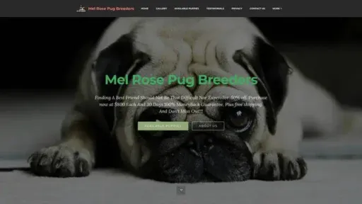 Screenshot of