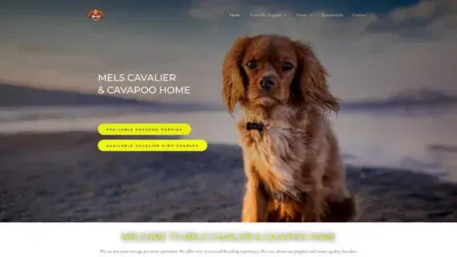 Screenshot of