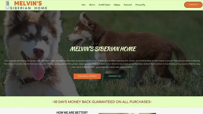 Screenshot of