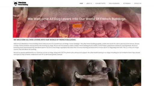 Screenshot of