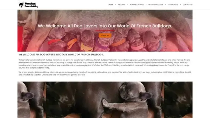 Screenshot of