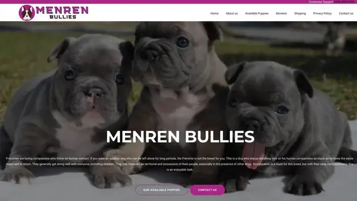 Screenshot of