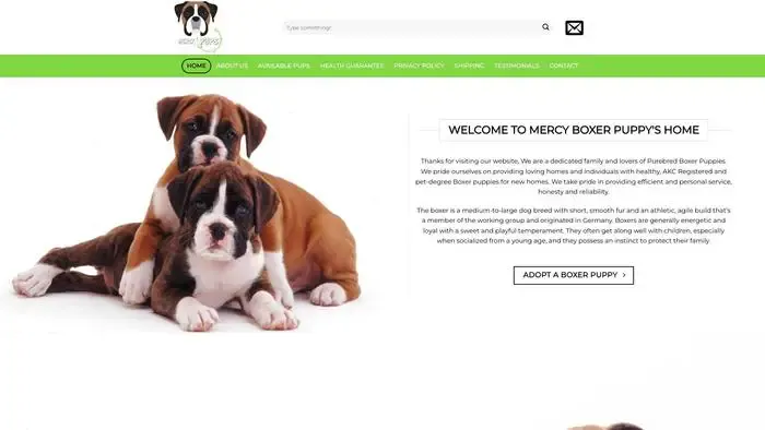Screenshot of