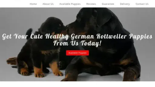 Screenshot of