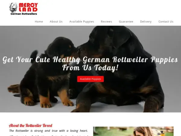 Screenshot of